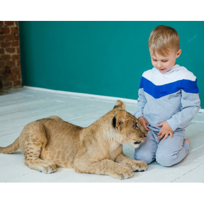 Серый спортивный костюм с капюшоном